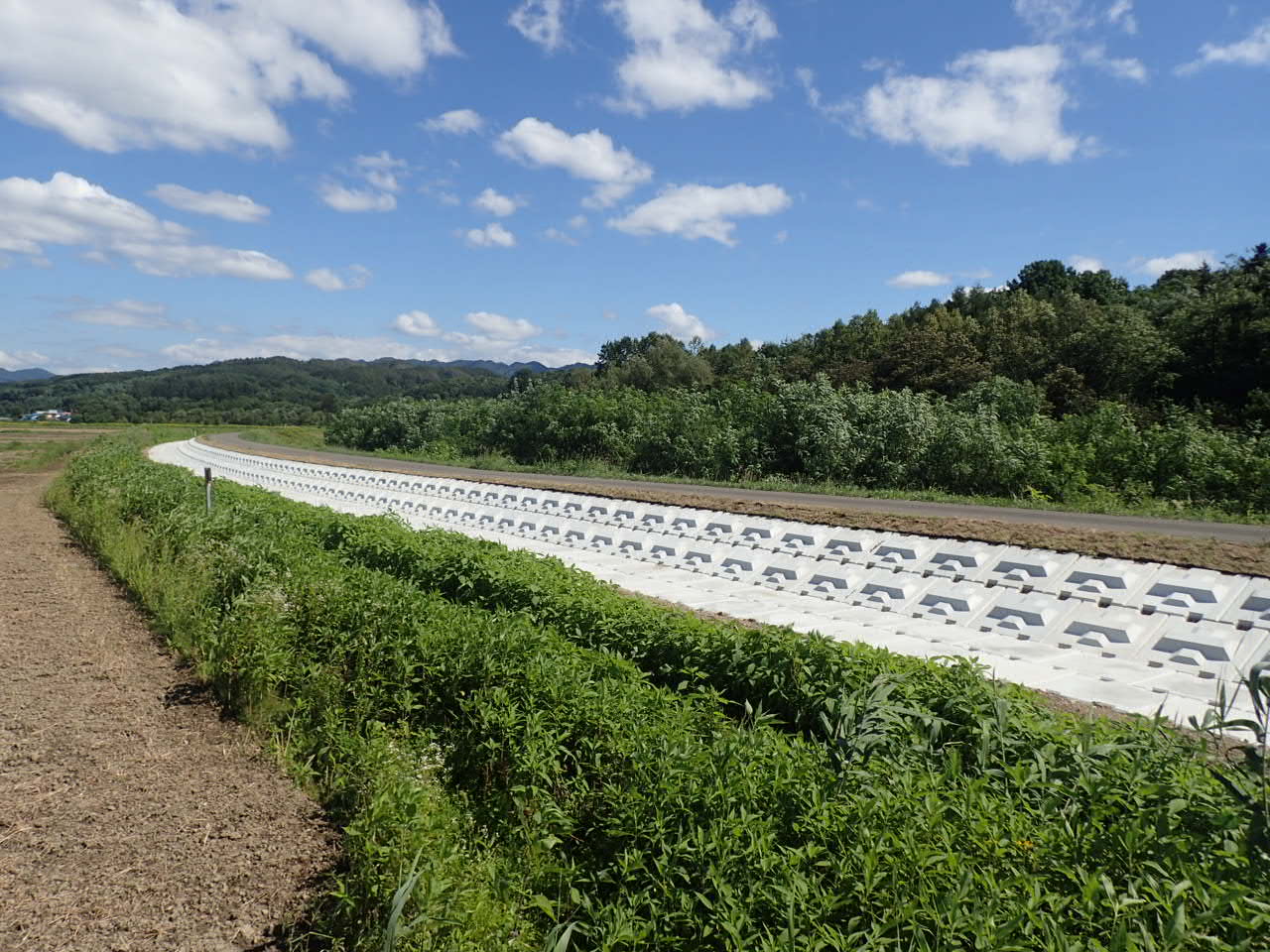 >石狩川改修工事の内　幾春別川上流築堤裏法尻補強工事