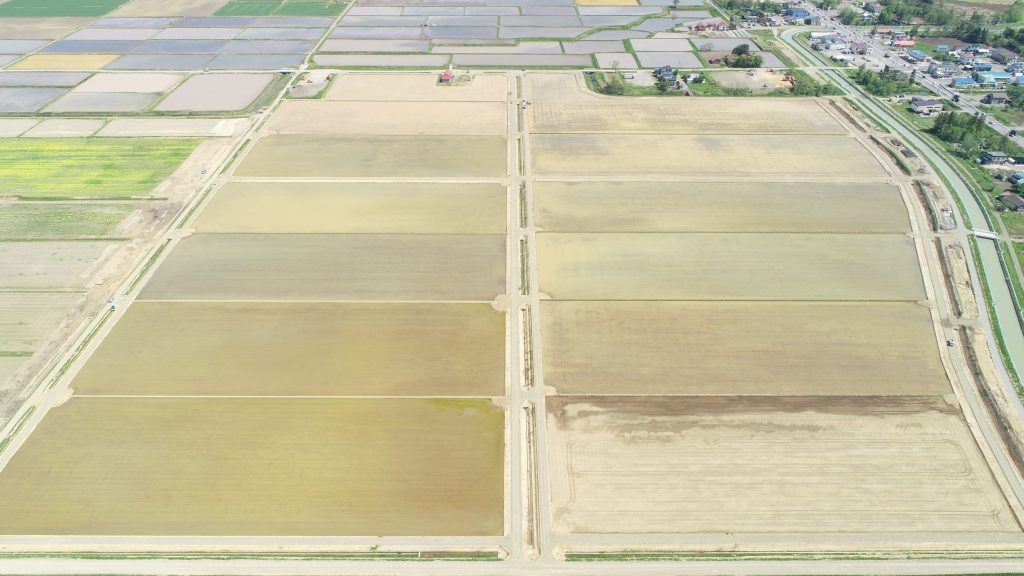 >経営体　進徳一心第２一期地区　41工区