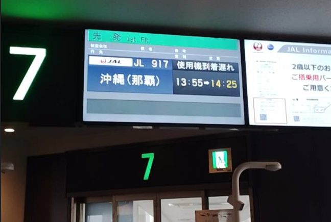 【社員旅行レポート】絆を深める！沖縄への旅とアロハな入社式🌺／岸本組